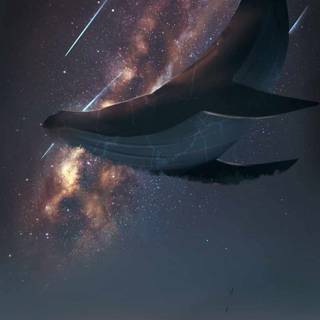 Whale iPhone wallpaper