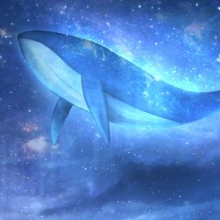 Whale iPhone wallpaper