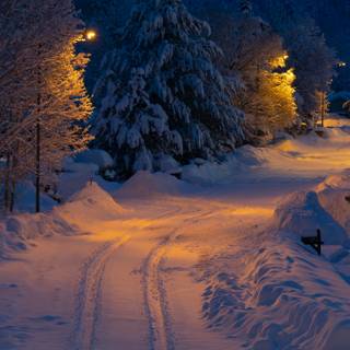 Winter snow trail wallpaper