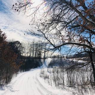 Winter snow trail wallpaper