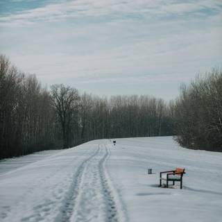 Winter snow trail wallpaper