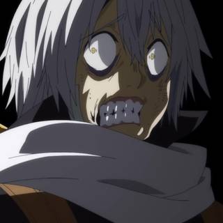 The Legendary Hero Is Dead! wallpaper