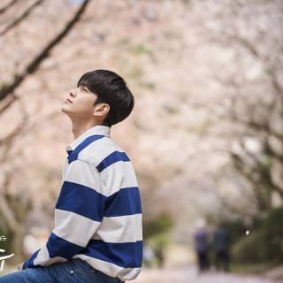 More Than Friends wallpaper