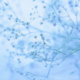 iPhone light blue wallpaper