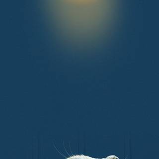 Bulb iPhone wallpaper