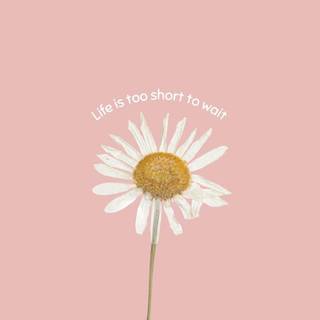 Quotes landscape wallpaper