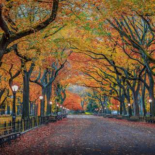 Autumn in New York wallpaper