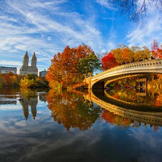 New York autumn 4k wallpaper