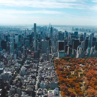New York autumn 4k wallpaper