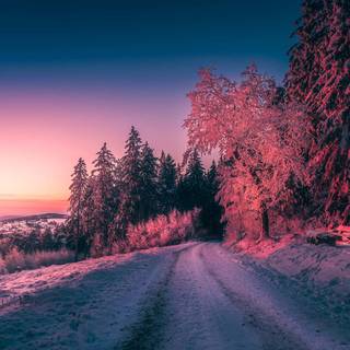 Winter scene PC wallpaper