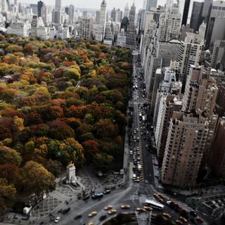 New York autumn 4k wallpaper