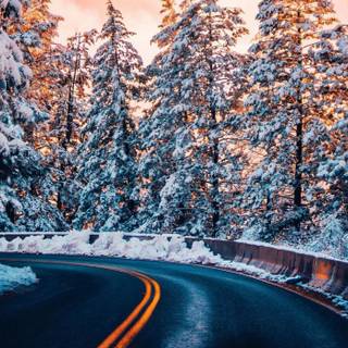 Winter road forest wallpaper