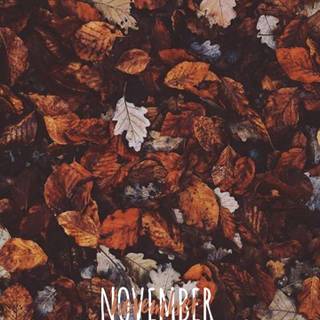 November aesthetic iPhone wallpaper