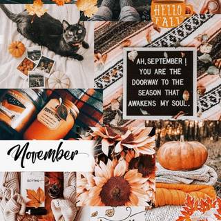 November aesthetic iPhone wallpaper