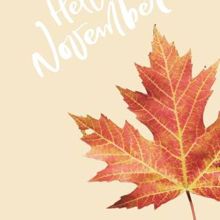 November aesthetic iPhone wallpaper