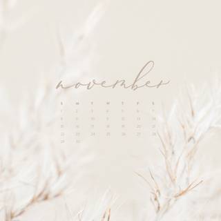 November aesthetic iPhone wallpaper