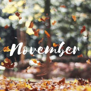 November aesthetic iPhone wallpaper