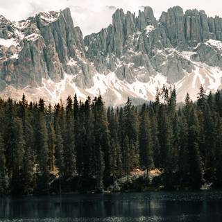 November aesthetic iPhone wallpaper