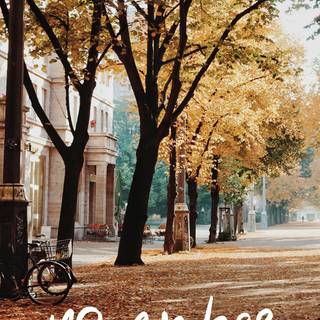 November aesthetic iPhone wallpaper