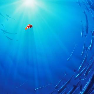 Anime sea 4k wallpaper