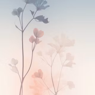 Minimal fall wallpaper
