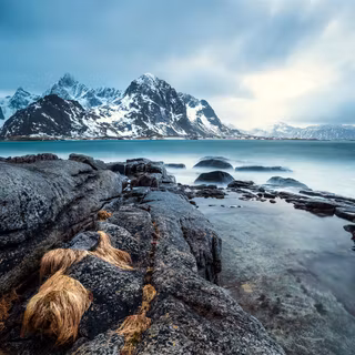 Winter coast wallpaper