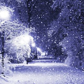 Winter path lights wallpaper
