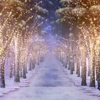 Winter path lights wallpaper