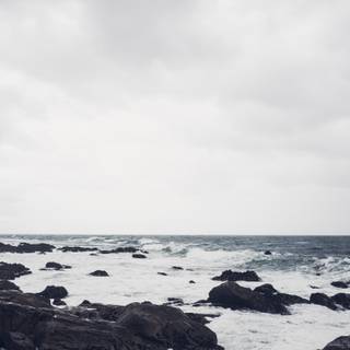 Winter coast wallpaper