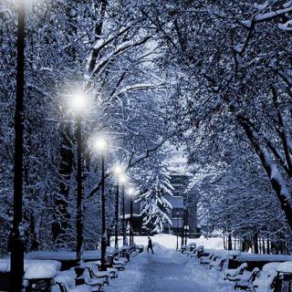 Winter path lights wallpaper