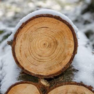 4k winter desktop wallpaper