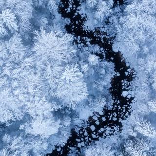 iPhone 15 winter wallpaper