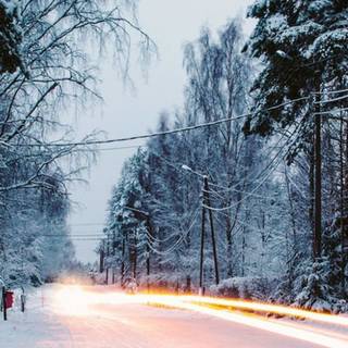 Winter iPhone 12 Pro wallpaper