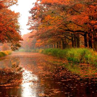 Autumn river landscape wallpaper