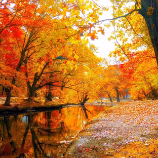 Autumn river landscape wallpaper