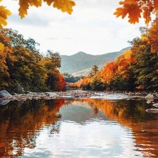 Autumn lake landscape wallpaper