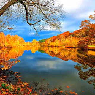 Autumn lake landscape wallpaper