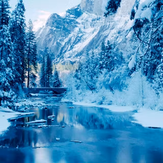 Winter iPhone 12 Pro wallpaper