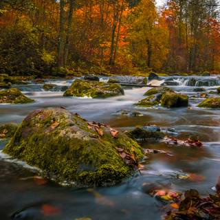 Autumn river landscape wallpaper