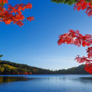Autumn lake landscape wallpaper