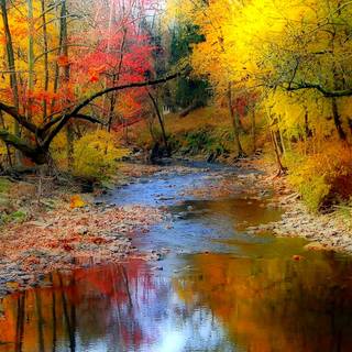 Autumn river landscape wallpaper