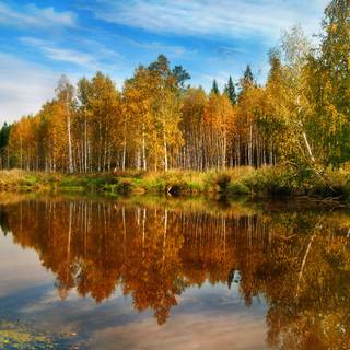 Autumn river landscape wallpaper