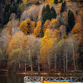 Autumn lake landscape wallpaper