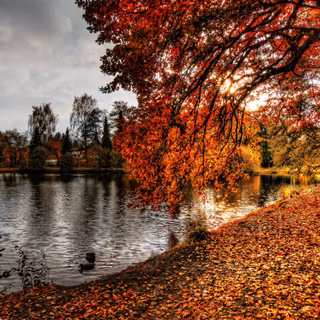 Autumn lake landscape wallpaper