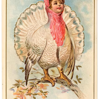 Turkey Happy Thanksgiving wallpaper