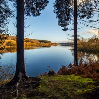 Autumn lake landscape wallpaper