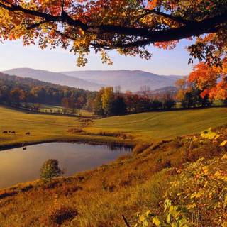 Autumn lake landscape wallpaper