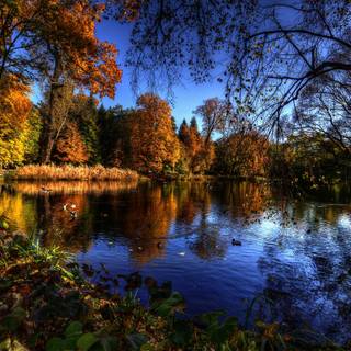 Autumn lake landscape wallpaper