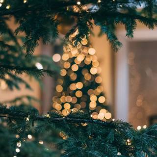 Christmas 1080x1920 wallpaper