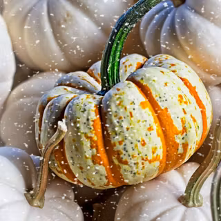 Thanksgiving fall iPhone wallpaper